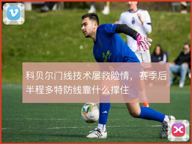 科贝尔门线技术屡救险情,赛季后半程多特防线靠什么撑住